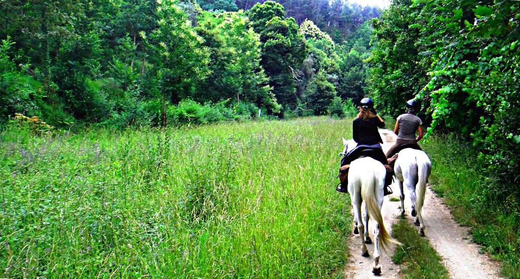 Quinta Lamosa Agroturismo 아르코스 데 발데베즈 외부 사진